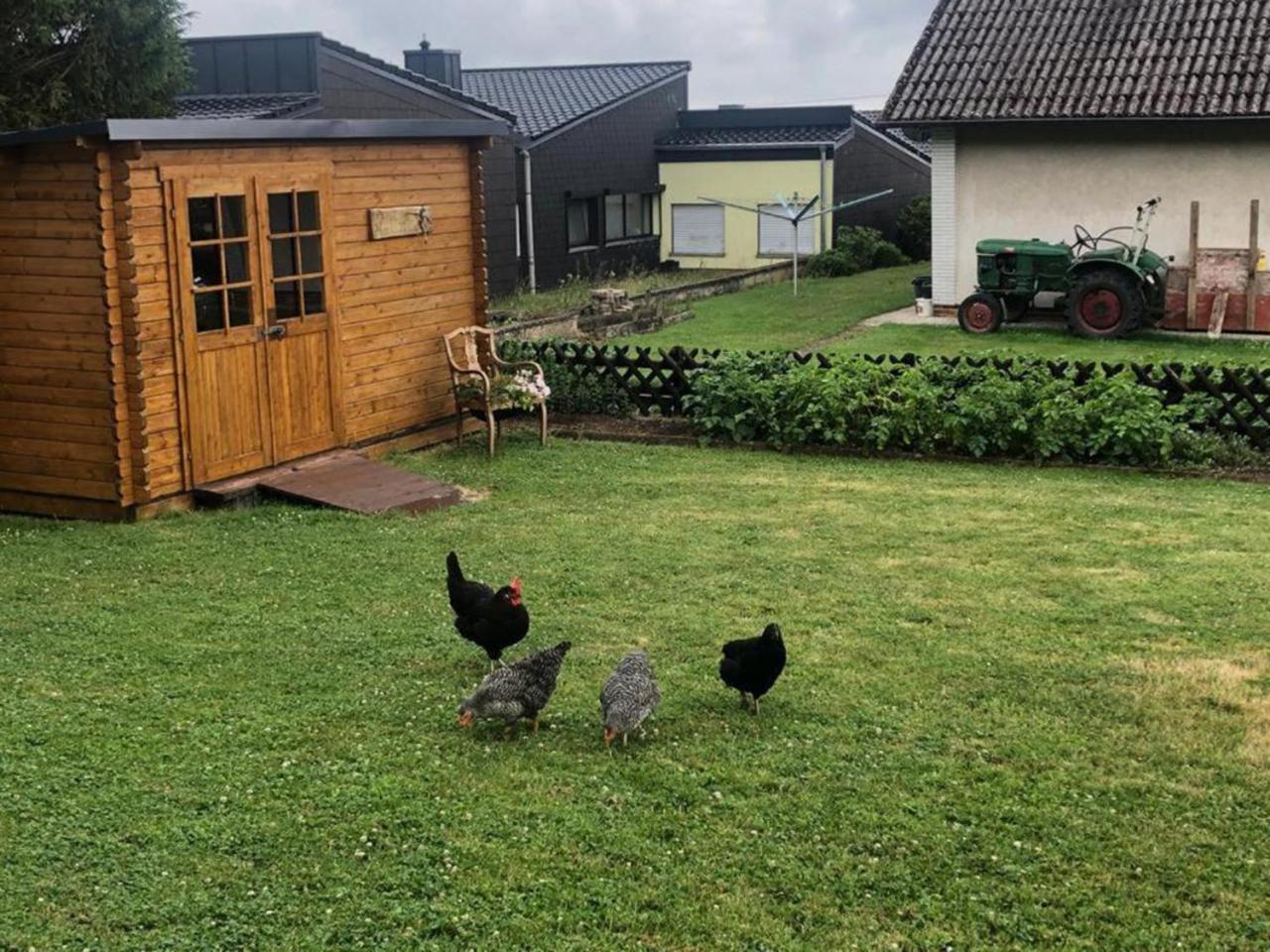 Yn E Homeie Baar (Rhineland-Palatinate)